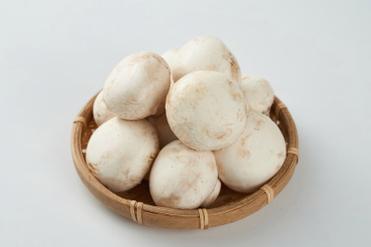 白色背景上的草菇 厨房里的自然之美